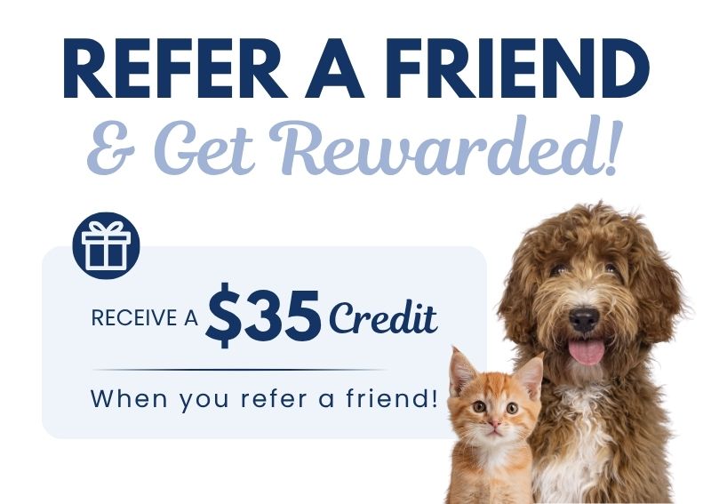 Carousel Slide 1: Refer a friend and get a $35 credit!