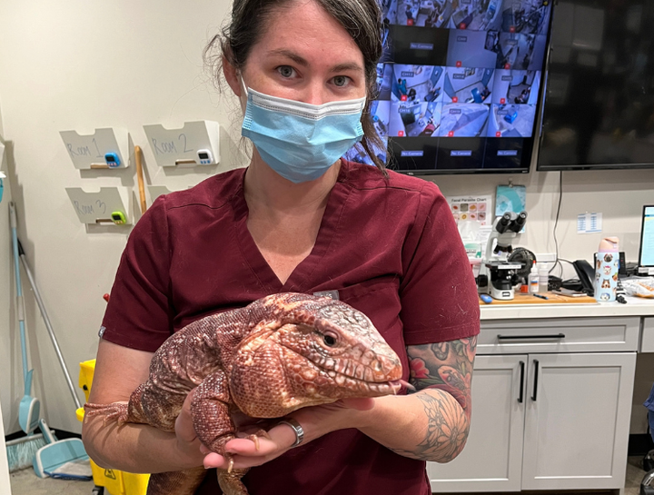 Exotic Vet in Santa Clarita